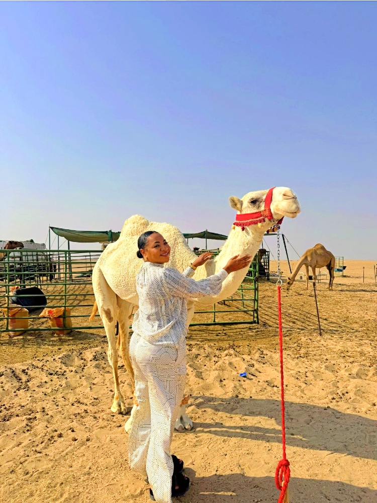 Kuwait Half Day City & Desert Licensed Tour Guide Pickup&Dropoff - Image - 1640